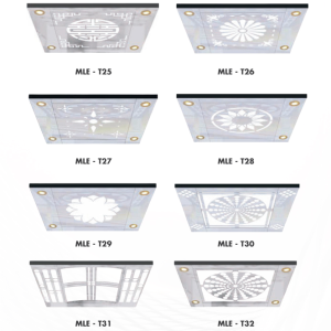 Các mẫu trần cabin thang máy